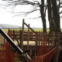 Tree house with a view